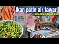 Download Lagu IKAN PATIN AIR TAWAR REJEKI IKAN HARI INI⁉️ ENAK DI SAYUR ASAM BELIMBING