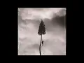 The Sunshine - Manchester Orchestra