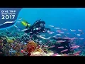 Download Lagu DIVE TRIP BANDA NEIRA FULL VIDEO (2017)