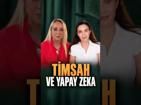 Timsah ve Yapay Zeka