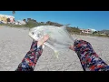 Pompano at Low Tide with Daryl the Pelican
