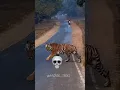 Download Lagu Dangerous Animals In Road 💀