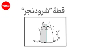 قطة شرودنجر تجربة فكرية في ميكانيكا الكم تشاد أورزل 