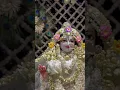 Download Lagu ✨ #krishna#radharani#bajan#lkishori#govind#khana#yugalkishor#keshav#radhakrishna#singar#laddugopal#