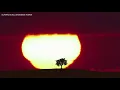 741 hz ! Removes Toxins and Negativity ! Cleanse Infections ! Cleanse Aura ! Boost Immune System