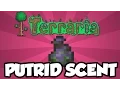 NEW Terraria 1 3 Accessories - The Putrid Scent