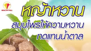 ย่าหวาน ช่วยควบคุมโรคเบาหวานได้อย่างไร