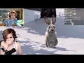 Download Lagu xQc Reacts to There Are 2 Types of People...