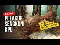 Download Lagu AYAM SENGKUNI, PELAKOR, KPU || AYAM ZAMAN NOW