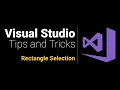 Visual Studio Quick Tips Rectangular Selection with Quick Replace