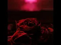 WALK ABOVE THE CITY - The Paper Kites  feat Maro