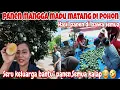 Lagu HEBOH PANEN MANGGA MADU DI KAMPUNG BARENG BESTIE‼️SERU RUJAKAN DI BAWAH POHON MANGGA 