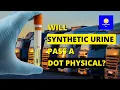 Will Synthetic Urine Pass a DOT Physical