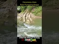 Download Lagu Gempar! Ditemukan Fenomena Alam Batu Mirip Punggung Buaya Di Jombang Jawa Timur