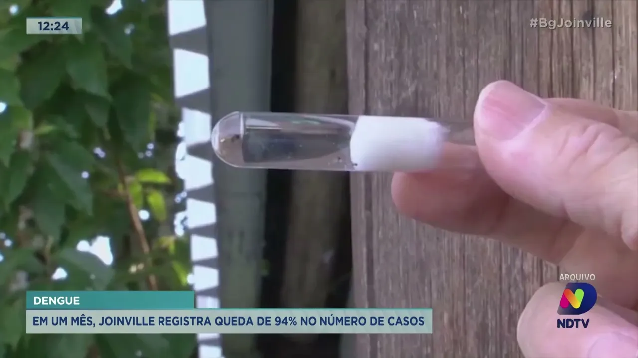 Dengue: em um mês, Joinville registra queda de 94% no número de casos