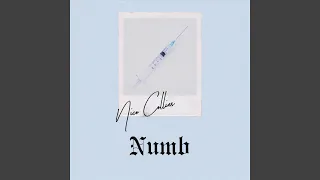 Download Numb MP3