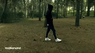               دندنها
