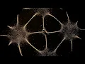 Seeing Sound With Sand Soundwaves The Symphony Of Physics BBC Earth Science