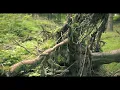 S L O W · Stress & Pressure Relief ·  Shamanic Ocean Wind Chimes | 432hz