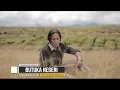 Download Lagu FRADILAN SHANDI - BUTUKA NEGERI // Lagu Daerah Kerinci Terbaru 2019 2019
