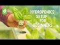 Ebb Flow Hydroponics for Beginners