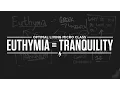 Micro Class Euthymia Tranquility