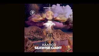 kaargo seawise giant original mix 