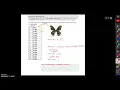 MATH118 Module 11 -