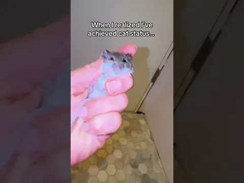 Who needs a trap when… #pestcontrol