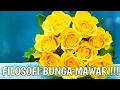 FILOSOFI BUNGA MAWAR BERDURI YANG MENGANDUNG BANYAK MAKNA DALAM KEHIDUPAN KITA