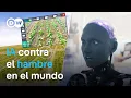 Download Lagu Inteligencia artificial en la agricultura | DW Documental