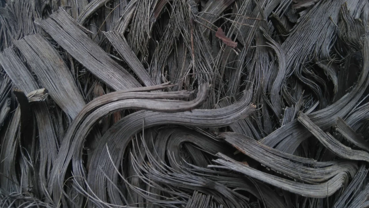 Üsküdara Giderken. Palm version.