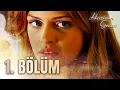 Download Lagu Haziran Gecesi 1.Bölüm - FULL BÖLÜM
