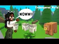 I went to the BOREAL FOREST Roblox Endangered World Zeekay
