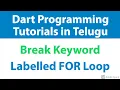 Dart BREAK Statement with Labelled for Loop Dart Programming language Tutorial flutter in telugu