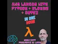 AWS lambda python cloud9 and Boto3 one hour