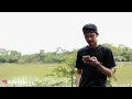 Download Lagu Luvia - jangan menangis untukku(cover reggae)
