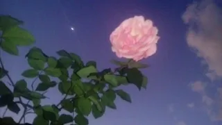 jhen aiko p y fairy otw slowed reverb 