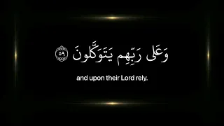 الذين صبروا وعلى ربهم يتوكلون القارئ عبدالرحمن مسعد اكتب شي تؤجر عليه اجر لي ولك 