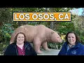 What to Do in Los Osos CA Exploring California