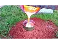Disturbing the Borderline Anthill Again