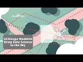 SkySearch Data Science Capstone Project