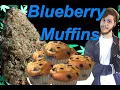My Favorite Strain - Blueberry Muffins