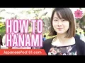 Download Lagu How to Hanami: A Beginner’s Guide to Cherry Blossoms Viewing in Japan