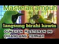 Download Lagu SUARA Panggilan CUCAK HIJAU JANTAN, bikin NAIk BIRAHI,di kandang ternak