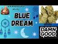 BLUE DREAM by DAMN GOOD Legal THCA Flower Review