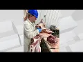 KY3 The Place Zimmerman Meats - Harvest Processing