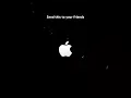 Download Lagu Cat Meme Ringtones 🔔 | iPhone \u0026 Android