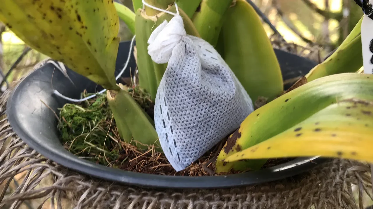 SAQUINHO DE ADUBO PARA ORQUIDEAS