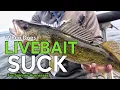 When to Use Soft Plastics vs Live Bait on Spinner Harnesses for Walleye Fishing
